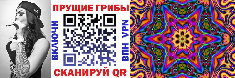 Галлюциногенные грибы GOLDEN TEACHER Купить закладки Видное